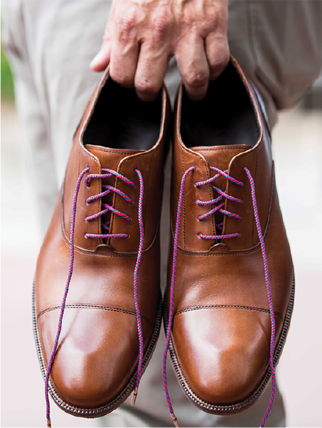 Whiskers shoelaces 2025